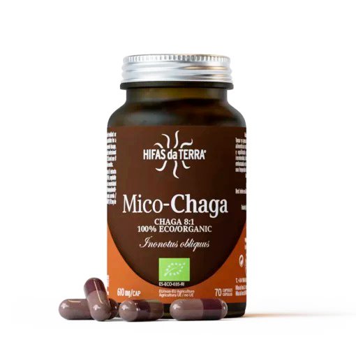 Mico-Chaga-Hifas-da-Terra