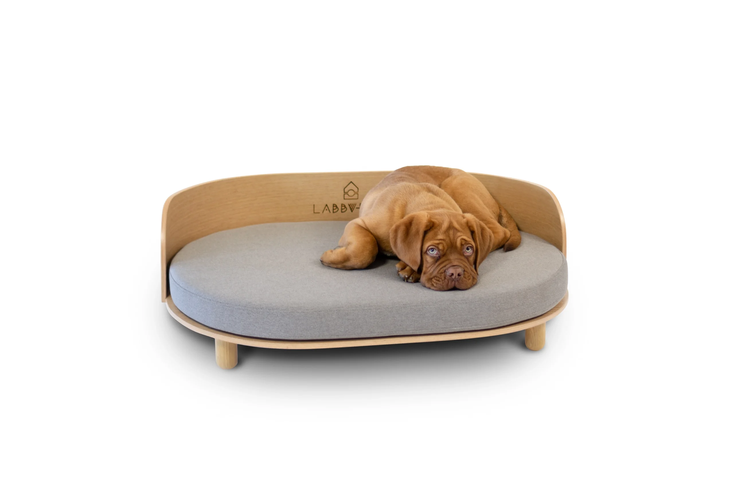sofa perro 2