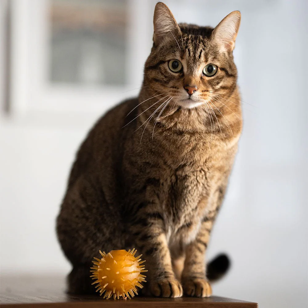 ball-bell-825112.jpg