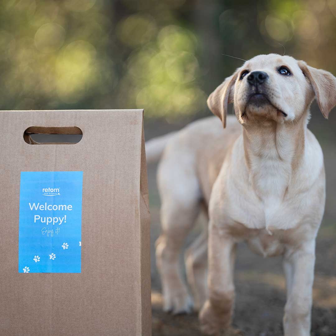 pack puppy 2