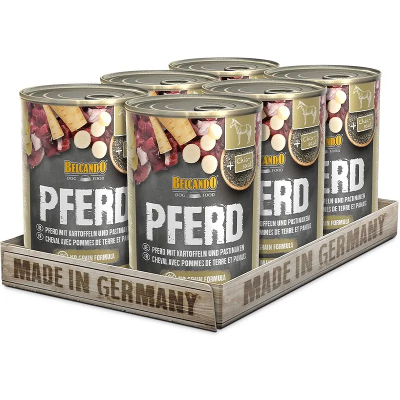 pferd 6