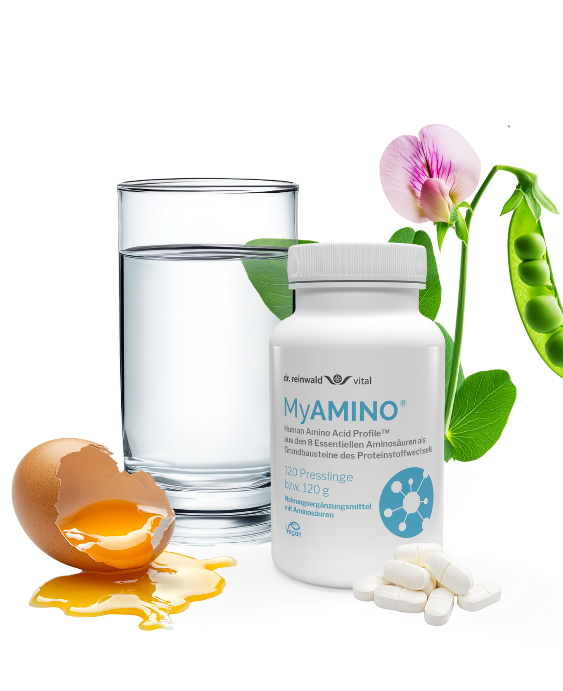 MyAMINO 2